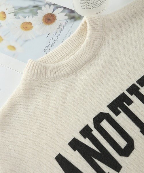 MAISON DE THERESE（メゾン ド テレーズ）の「ANOTHERロゴ入り　クルーネックニットトップス（ニット/セーター・レディース・ベージュ/グリーン/アイボリー/ピンク/グレー・FREE）」の22枚目の写真