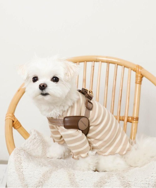 セール】ソフトメッシュハーネス（リード/ハーネス/首輪）｜moncheri