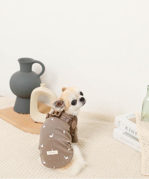moncheri(モンシェリ)の「ソフトメッシュハーネス(リード/ハーネス/首輪・レディース・ベージュ・S/M)」の7枚目の写真