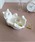 ammy.�i�G�C�~�[�h�b�g�j�́u�y ammy. / �G�C�~�[�h�b�g �z �l�R�^ �}���` �g���[�i�C���e���A�G�݁j�v�b�z���C�g