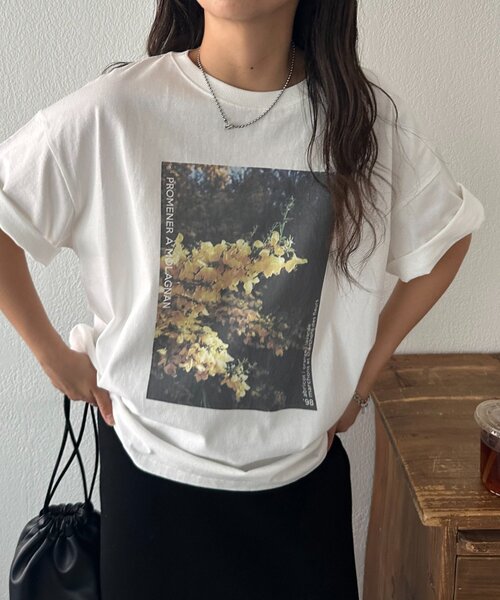 セール】【WEB限定】ボタニカルアソートフォトTシャツ（Tシャツ