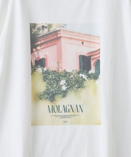 DISCOAT(ディスコート)の「【WEB限定】ボタニカルアソートフォトTシャツ(Tシャツ/カットソー・レディース・ホワイト系その他3/ホワイト系その他/ホワイト系その他2・FREE)」の14枚目の写真