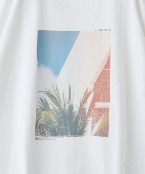 DISCOAT(ディスコート)の「【WEB限定】ボタニカルアソートフォトTシャツ(Tシャツ/カットソー・レディース・ホワイト系その他3/ホワイト系その他/ホワイト系その他2・FREE)」の15枚目の写真