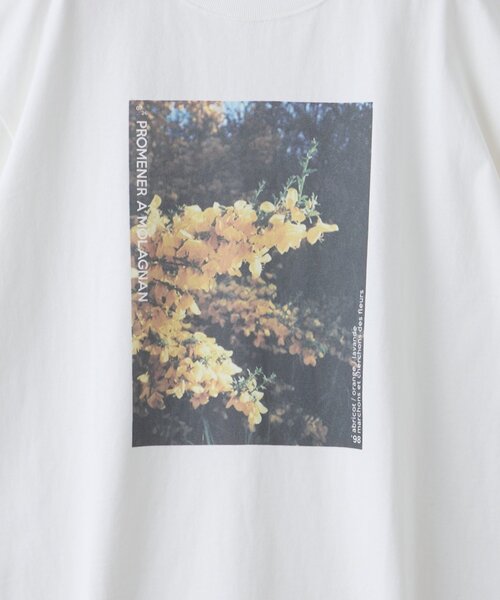 DISCOAT(ディスコート)の「【WEB限定】ボタニカルアソートフォトTシャツ(Tシャツ/カットソー・レディース・ホワイト系その他3/ホワイト系その他/ホワイト系その他2・FREE)」の16枚目の写真
