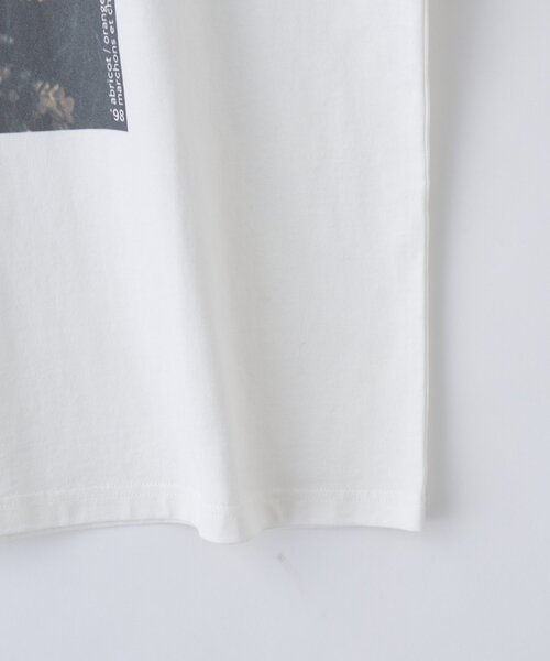 DISCOAT(ディスコート)の「【WEB限定】ボタニカルアソートフォトTシャツ(Tシャツ/カットソー・レディース・ホワイト系その他3/ホワイト系その他/ホワイト系その他2・FREE)」の9枚目の写真