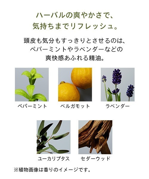 athletia(アスレティア)の「スカルプ リフレッシュローション(その他ボディ・ヘアケア・レディース・その他・FREE)」の2枚目の写真
