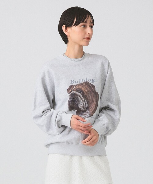 Ray BEAMS(レイビームス)の「Lee / PRINT SWEAT(スウェット・レディース・グレー/ブラウン・SMALL)」の9枚目の写真