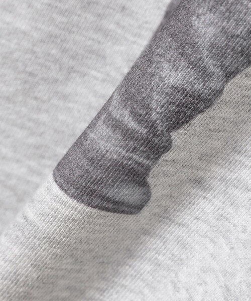 Ray BEAMS(レイビームス)の「Lee / PRINT SWEAT(スウェット・レディース・グレー/ブラウン・SMALL)」の13枚目の写真