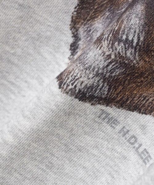Ray BEAMS(レイビームス)の「Lee / PRINT SWEAT(スウェット・レディース・グレー/ブラウン・SMALL)」の18枚目の写真