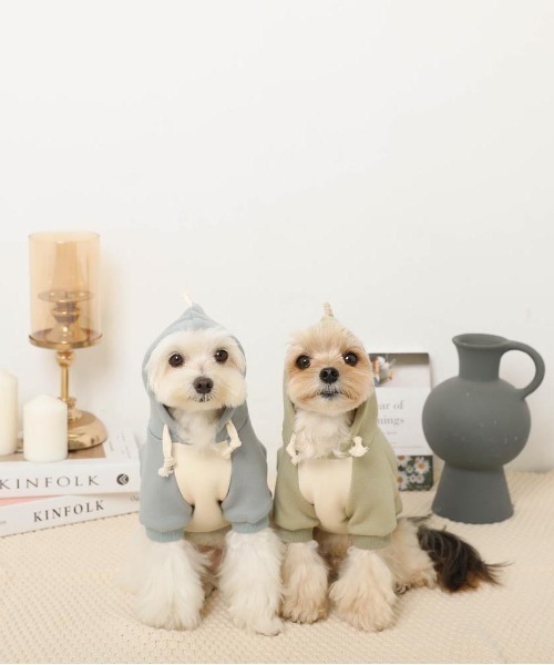 moncheri（モンシェリ）の「恐竜さんフードパーカー（ペットウェア・レディース・ブルー/グリーン・S/M/L/XL）」の17枚目の写真