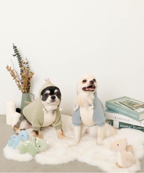 moncheri（モンシェリ）の「恐竜さんフードパーカー（ペットウェア・レディース・ブルー/グリーン・S/M/L/XL）」の19枚目の写真