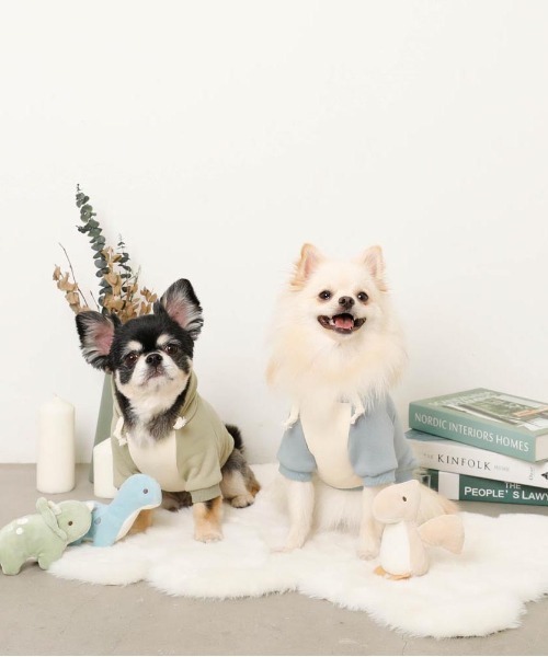 moncheri（モンシェリ）の「恐竜さんフードパーカー（ペットウェア・レディース・ブルー/グリーン・S/M/L/XL）」の20枚目の写真