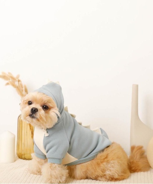 moncheri（モンシェリ）の「恐竜さんフードパーカー（ペットウェア・レディース・ブルー/グリーン・S/M/L/XL）」の21枚目の写真