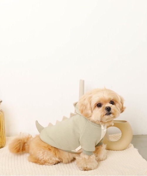 moncheri（モンシェリ）の「恐竜さんフードパーカー（ペットウェア・レディース・ブルー/グリーン・S/M/L/XL）」の22枚目の写真