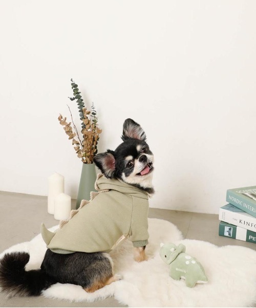 moncheri（モンシェリ）の「恐竜さんフードパーカー（ペットウェア・レディース・ブルー/グリーン・S/M/L/XL）」の3枚目の写真