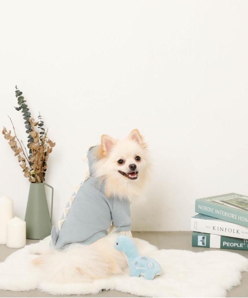 moncheri（モンシェリ）の「恐竜さんフードパーカー（ペットウェア・レディース・ブルー/グリーン・S/M/L/XL）」の4枚目の写真