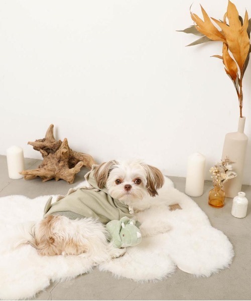 moncheri（モンシェリ）の「恐竜さんフードパーカー（ペットウェア・レディース・ブルー/グリーン・S/M/L/XL）」の5枚目の写真