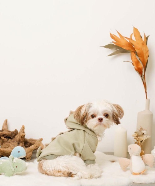 moncheri（モンシェリ）の「恐竜さんフードパーカー（ペットウェア・レディース・ブルー/グリーン・S/M/L/XL）」の6枚目の写真