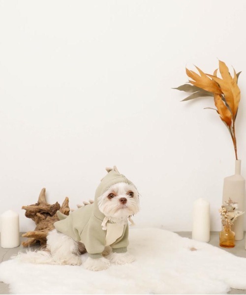 moncheri（モンシェリ）の「恐竜さんフードパーカー（ペットウェア・レディース・ブルー/グリーン・S/M/L/XL）」の7枚目の写真