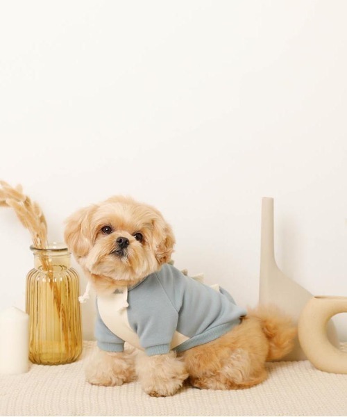 moncheri（モンシェリ）の「恐竜さんフードパーカー（ペットウェア・レディース・ブルー/グリーン・S/M/L/XL）」の11枚目の写真