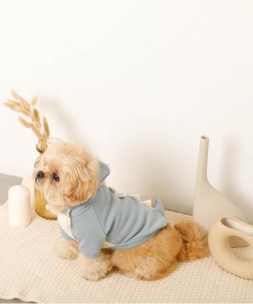 moncheri（モンシェリ）の「恐竜さんフードパーカー（ペットウェア・レディース・ブルー/グリーン・S/M/L/XL）」の12枚目の写真