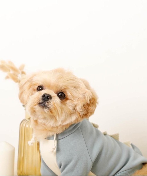 moncheri（モンシェリ）の「恐竜さんフードパーカー（ペットウェア・レディース・ブルー/グリーン・S/M/L/XL）」の13枚目の写真