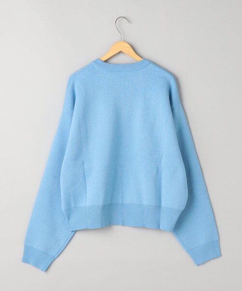 DISCUS ATHLETIC（ディスカス　アスレチック）の「【WEB限定・DISCUS（ディスカス）】 カレッジロゴジャガードニット①（ニット/セーター・レディース・ライトブルー/オフホワイト・M/L）」の17枚目の写真