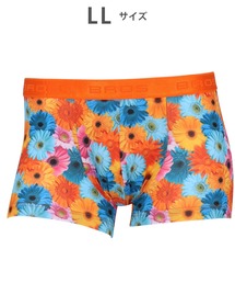 BROS by WACOALMEN（ブロスバイワコールメン）の「「ハナコトバパンツ」 ボクサーパンツ 前閉じ（ボクサーパンツ）」