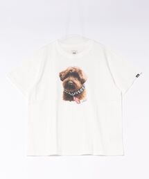 VANS ヴァンズ W Dog print TEE ショートスリーブ 126R3011101 ABC-MART限定 WHITE