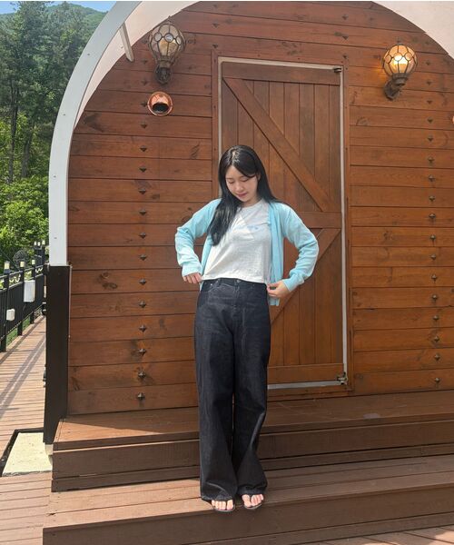 MELLOTORY(メロートリー)の「刺繍クロップ半袖Tシャツ (2色)(Tシャツ/カットソー・レディース・ホワイト/ライトグレー・FREE)」の7枚目の写真