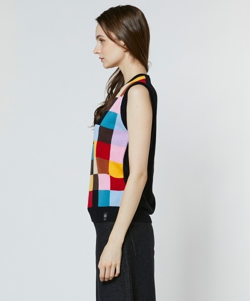 DOUBLE STANDARD CLOTHING(ダブルスタンダードクロージング)の「マルチカラーニットベスト(ベスト・レディース・マルチ・36/38)」の4枚目の写真