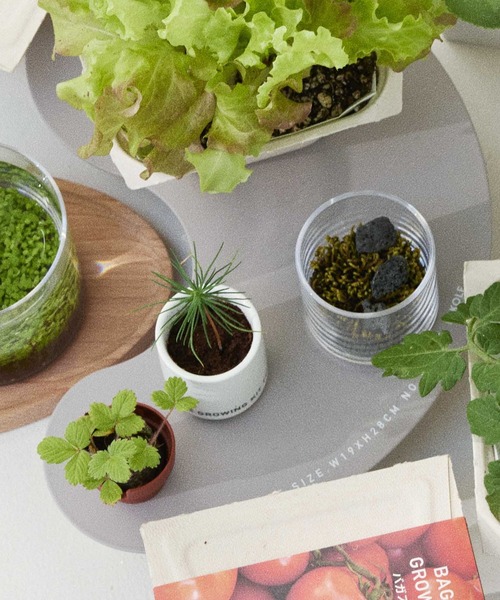 LAKOLE（ラコレ）の「アイアンディスプレイスタンド / 157124（インテリア雑貨・レディース・グレー/ホワイト/チャコール・FREE）」の20枚目の写真