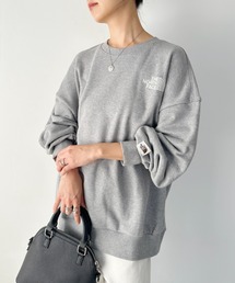 国内未発売 THE NORTH FACE(ザ・ノースフェイス)/ワンポイント ロゴ 刺繍 クルーネック スウェット プルオーバー 大きめサイズあり/BONNEY SWEATSHIRTS A