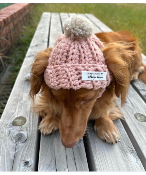 tone（トーン）の「【shop ann】耳出し犬用ニット帽(SU)（その他ペット