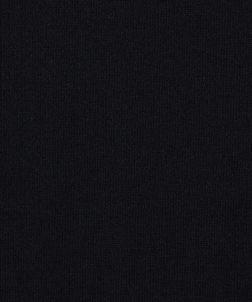 GALERIE VIE(ギャルリー ヴィー)の「コットン吊り天竺 クルーネックプルオーバー(Tシャツ/カットソー・レディース・ネイビー/ホワイト/ブラック・FREE)」の13枚目の写真