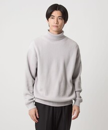 green label relaxing | コットン アゼ タートル ネック ニット(ニット/セーター)