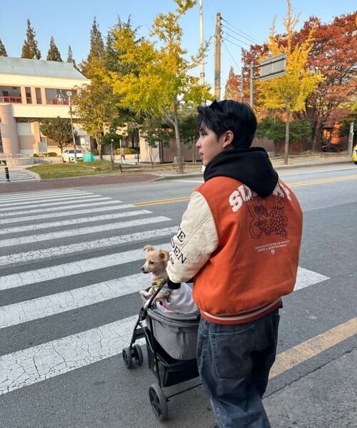 SUNDAY FRUIT MARKET(サンデーフルーツマーケット)の「GOLDEN HOUR VARSITY JACKET ORANGE(スタジャン・メンズ・その他・MEDIUM/LARGE)」の3枚目の写真