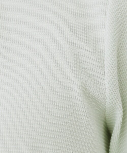 index（インデックス）の「レース衿付きピケジャージトップス【洗濯機OK】（Tシャツ/カットソー・レディース・グリーン系/ネイビー/ホワイト系5・42/40/38/36）」の10枚目の写真