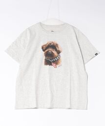 VANS ヴァンズ W Dog print TEE ショートスリーブ 126R3011101 ABC-MART限定 GRAY