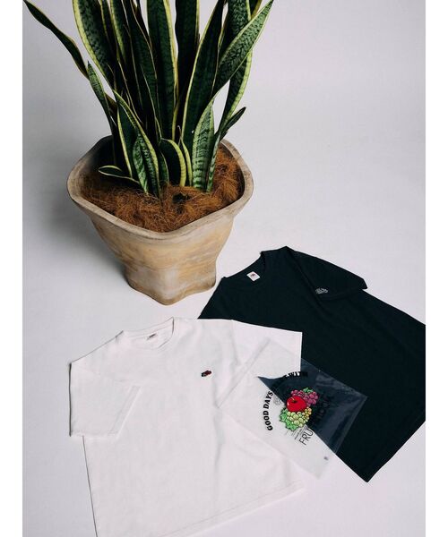 MURUA(ムルーア)の「【MURUA×FRUIT OF THE LOOM】コラボTシャツ【2枚パック】(Tシャツ/カットソー・レディース・その他1・FREE)」の17枚目の写真