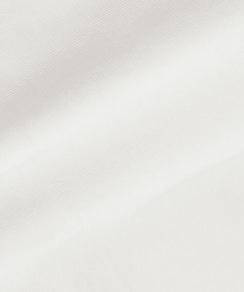 BEAMS LIGHTS(ビームスライツ)の「BEAMS LIGHTS / LUXUAL フォト Tシャツ(Tシャツ/カットソー・メンズ・ブラウン系その他2/ホワイト/ブラック/グレー/ライトブルー・LARGE/SMALL/MEDIUM)」の14枚目の写真