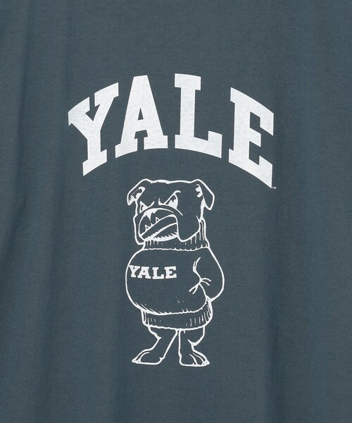 Tシャツ・カットソー [YALE] EMBROIDERY DAN BIG PLACKET PK TEE YALE] EMBROIDERY DAN BIG PLACKET PK TEE (YALE/Tシャツ