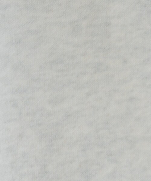 Cutie Blonde(キューティーブロンド)の「◆【あったか/S-LL】ラグラン裏起毛スウェット(Tシャツ/カットソー・レディース・ライトグレー/ブラック/レッド系1/オフホワイト・01/02/03/04)」の9枚目の写真