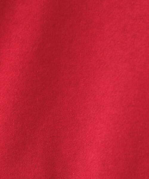 Cutie Blonde(キューティーブロンド)の「◆【あったか/S-LL】ラグラン裏起毛スウェット(Tシャツ/カットソー・レディース・ライトグレー/ブラック/レッド系1/オフホワイト・01/02/03/04)」の19枚目の写真