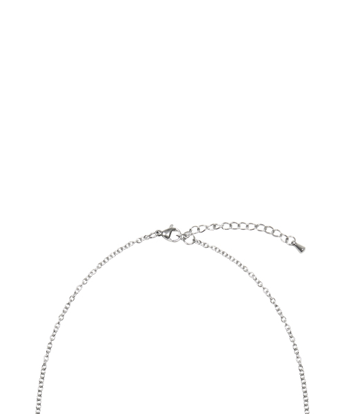 LUVISTRUE(ラヴイズトゥルー)の「SM LOGO NECKLACE(SILVER)(ネックレス・レディース・その他・FREE)」の3枚目の写真