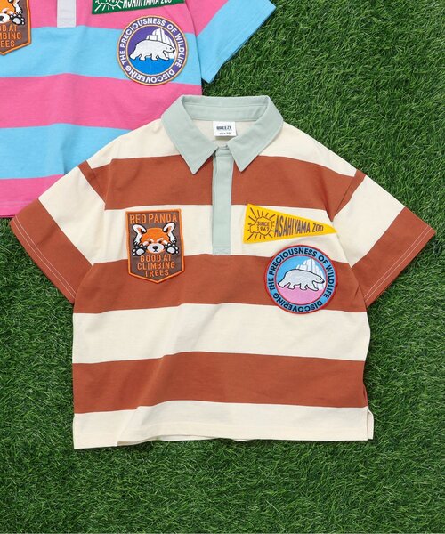 BREEZE(ブリーズ)の「旭山動物園応援商品 ワッペンラガーシャツ(ポロシャツ・キッズ・サックスブルー/キャメル・80/90/100/110/120/130/140)」の1枚目の写真