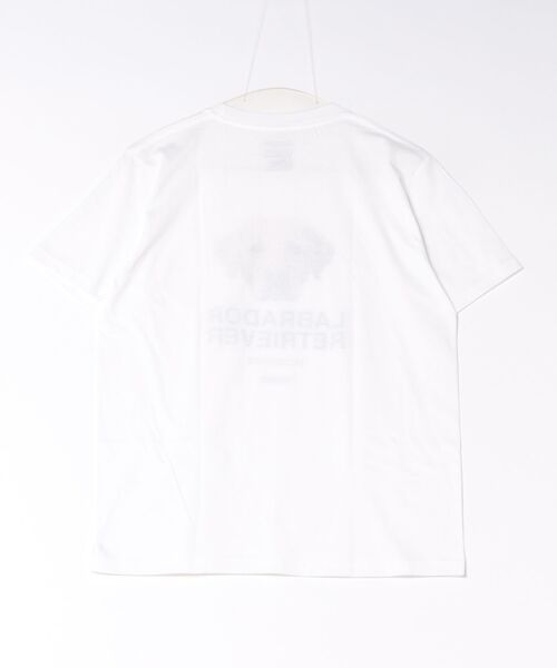 Moftique(モフティック)の「Moftique(モフティック) エントリーモデル 半袖Tシャツ アニマル ラブラドールレトリバー イエロー 犬 ドッグ ペット インクジェットプリント 褪せ感 4.0オンス 薄手 トップス カットソー 夏 カジュアル レディース ユニセックス(Tシャツ/カットソー・レディース・ホワイト・S)」の2枚目の写真