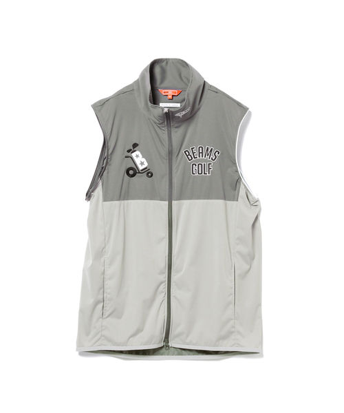 シルバー／銀張り☆USAF.米空軍第428戦闘飛行隊＊バッカニアズ＊スコードロン シルバー／銀張り☆USAF.米空軍第428戦闘飛行隊＊バッカニアズ