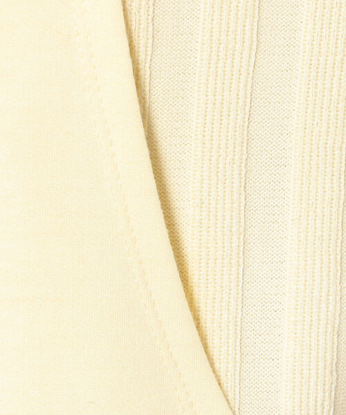 AULA AILA(アウラアイラ)の「【別注】AULA AILA/アウラ アイラ/コンビネーショントップス(Tシャツ/カットソー・レディース・グリーン/アイボリー・0)」の15枚目の写真