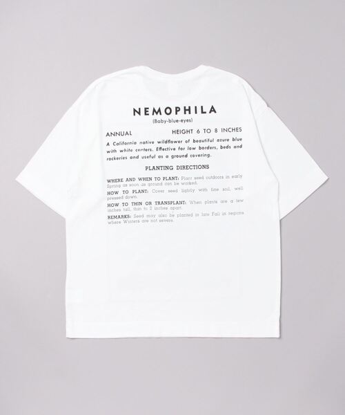 Niche.◆SACHELORSTEE/Tシャツ/L/コットン/WHT/ホワイト/プリント/ニッチ niche. tシャツ Tシャツ 【niche.USA / ニッチ】 Flower Seeds T